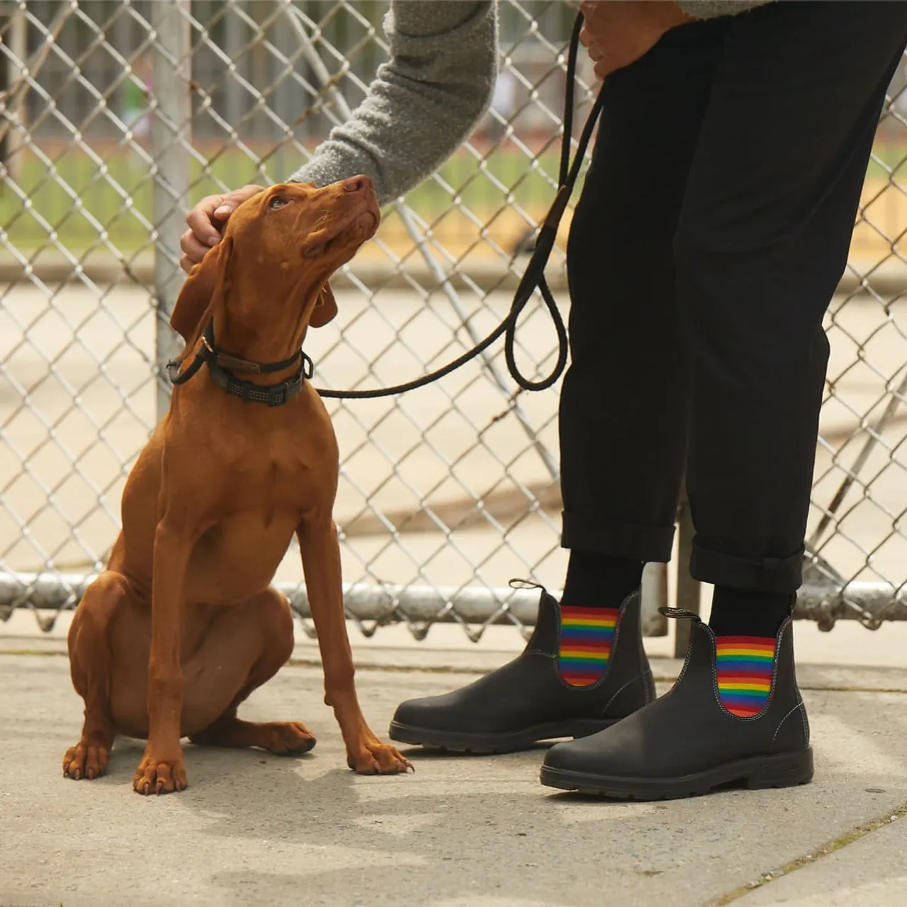 Blundstone 2105 Chelsea Boot - Rainbow