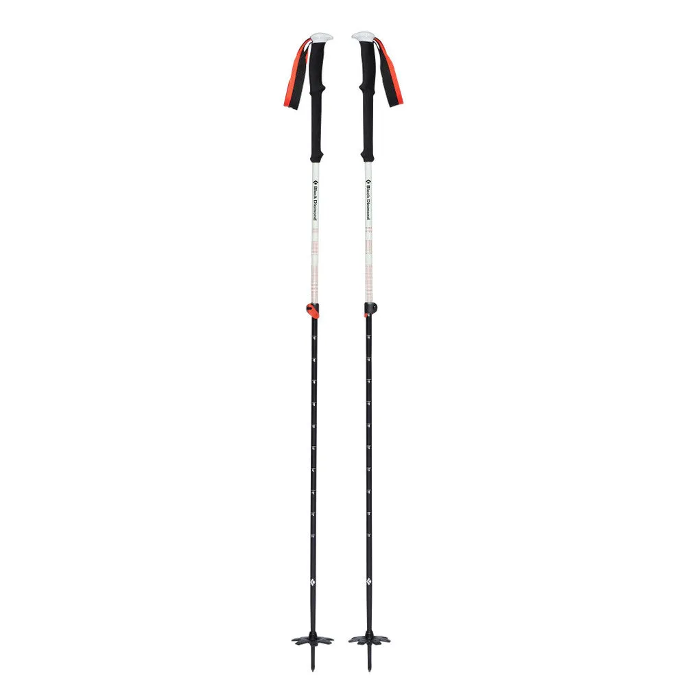 Expedition 2 Ski Poles