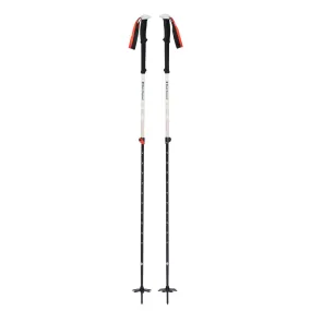 Expedition 2 Ski Poles