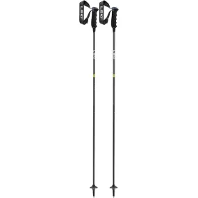 Neolite Carbon Ski Poles