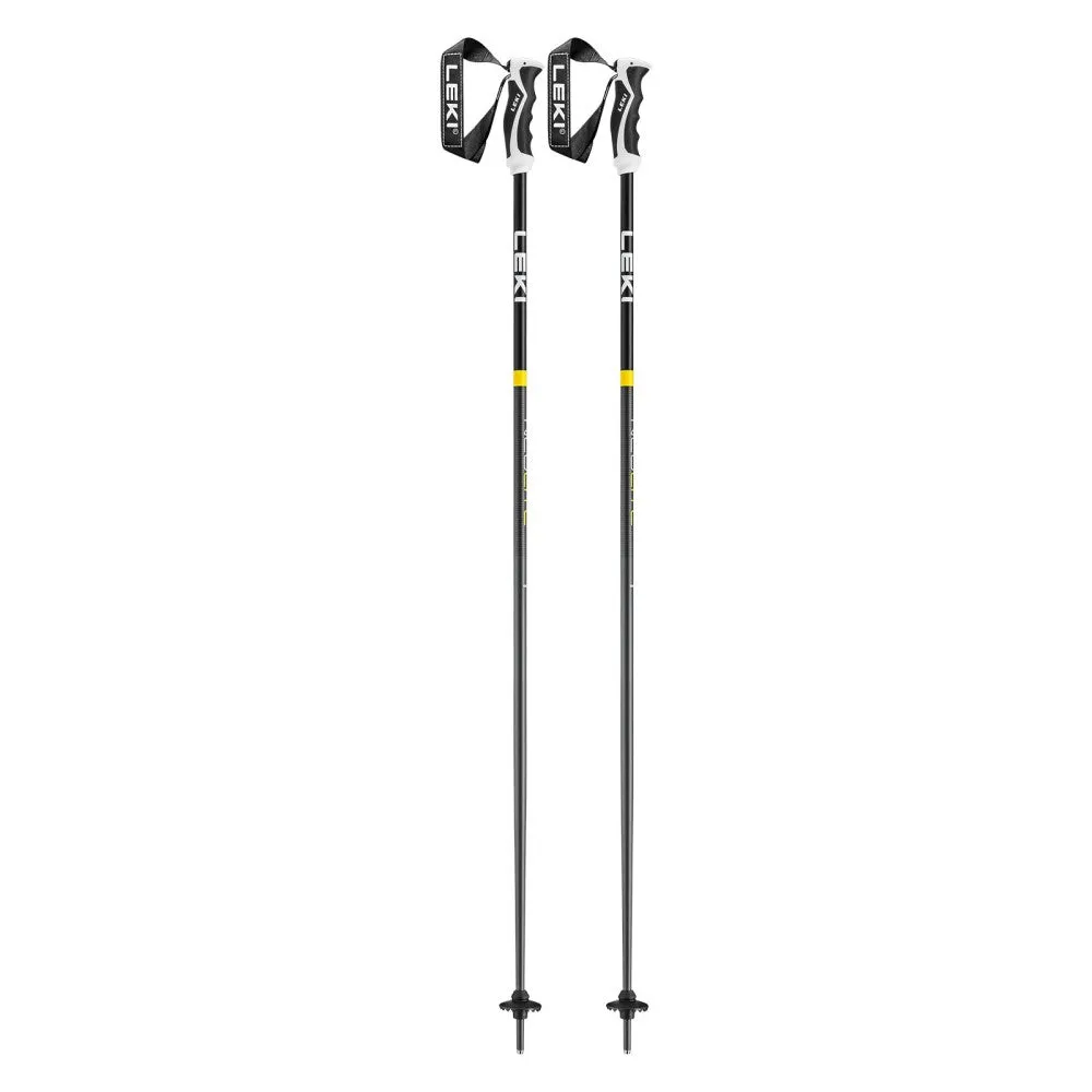 Neolite Ski Poles