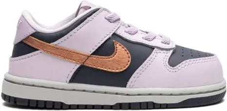 Nike Kids Dunk Low 