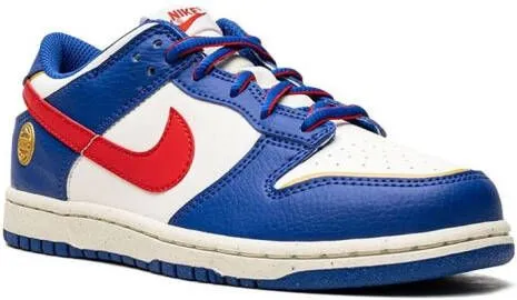 Nike Kids Dunk Low Next Nature 