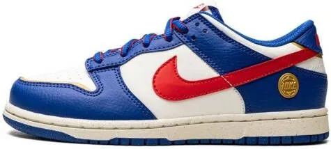 Nike Kids Dunk Low Next Nature 