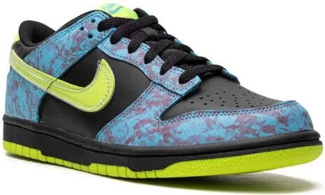 Nike Kids Dunk Low SE 2 sneakers Black