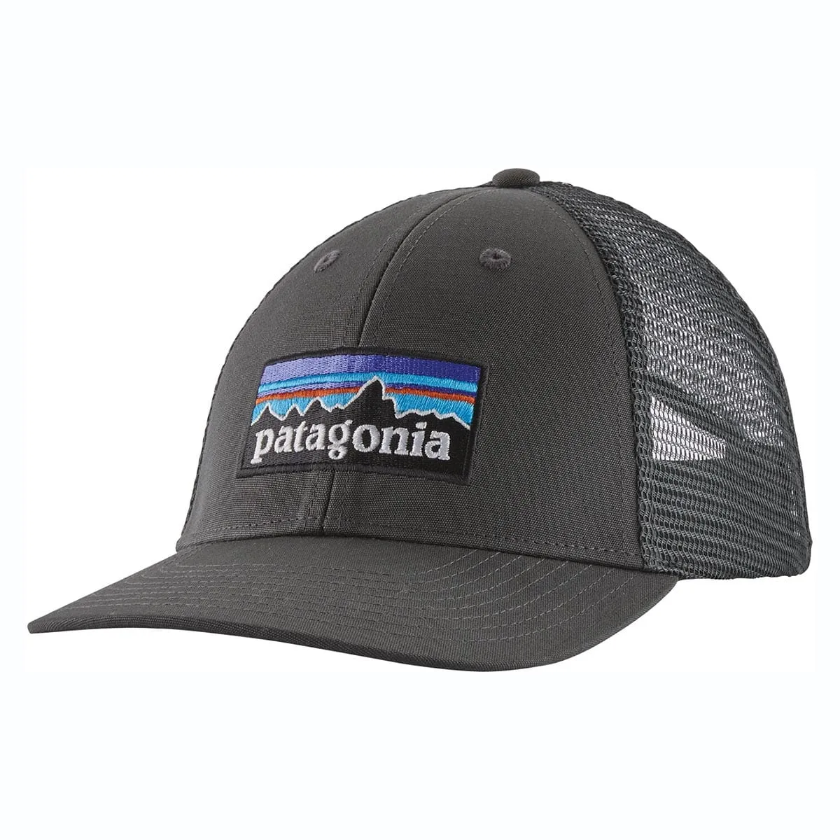 Patagonia P-6 Logo LoPro Trucker Hat