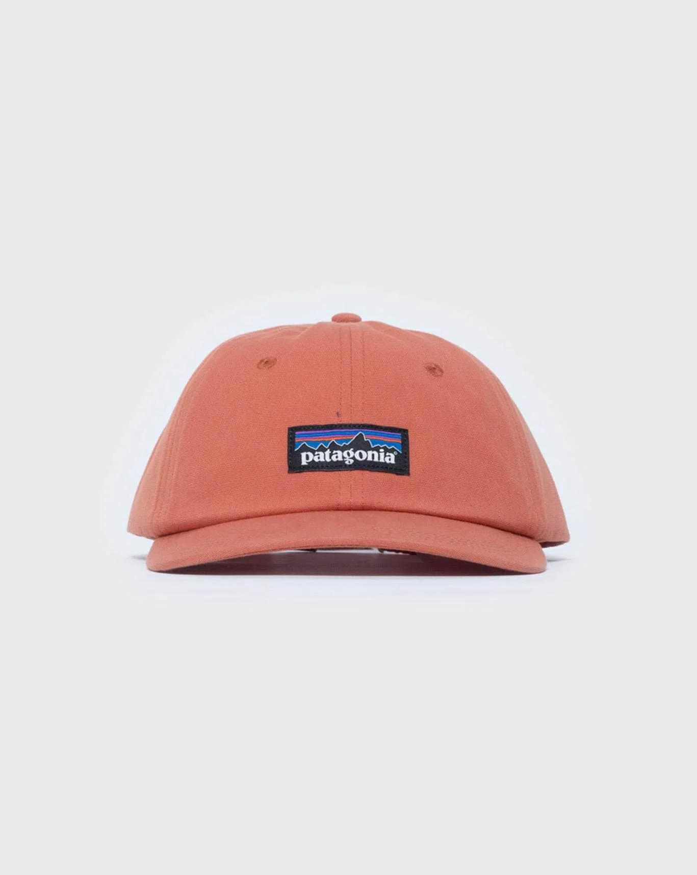 patagonia p-6 Trad Cap