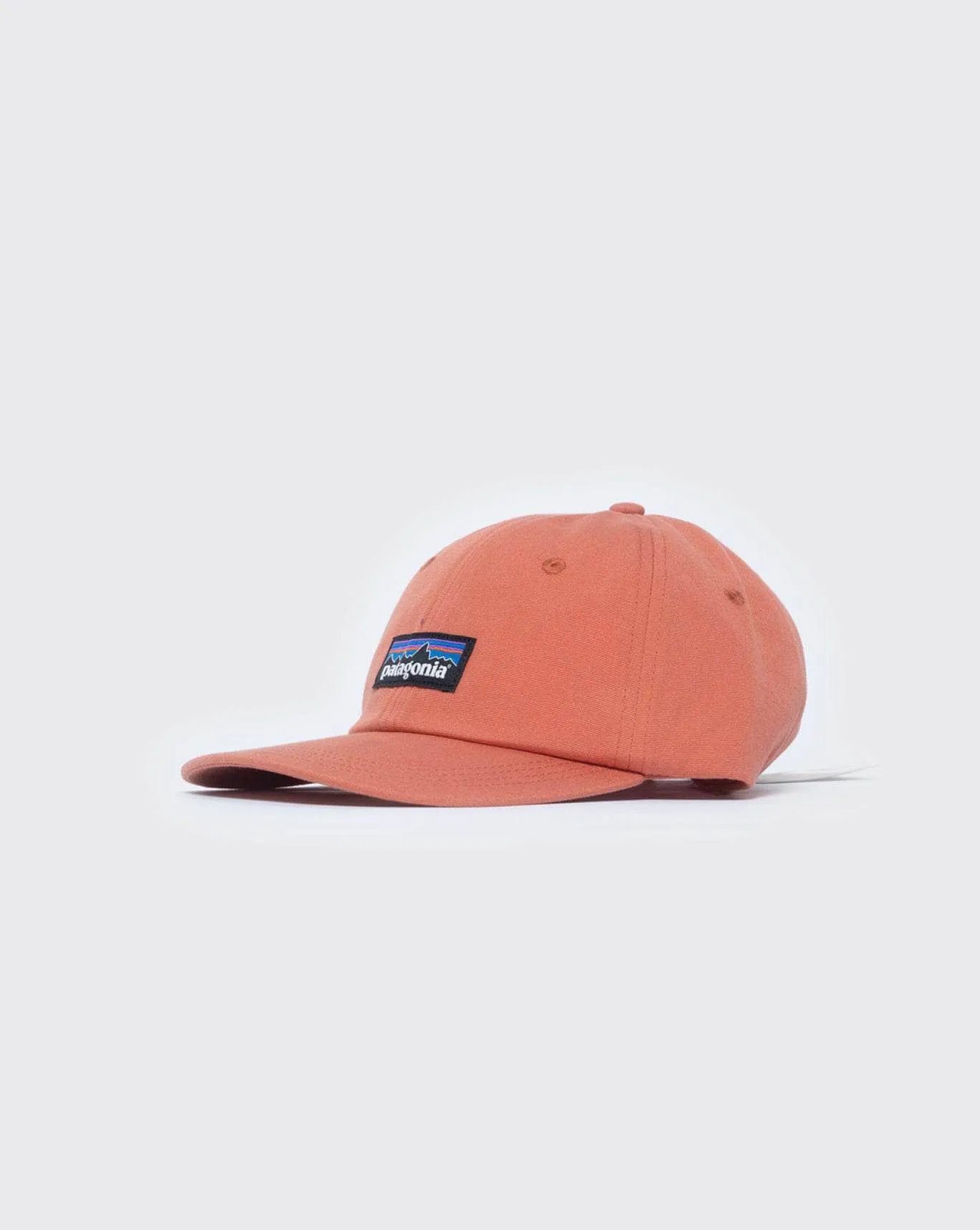 patagonia p-6 Trad Cap