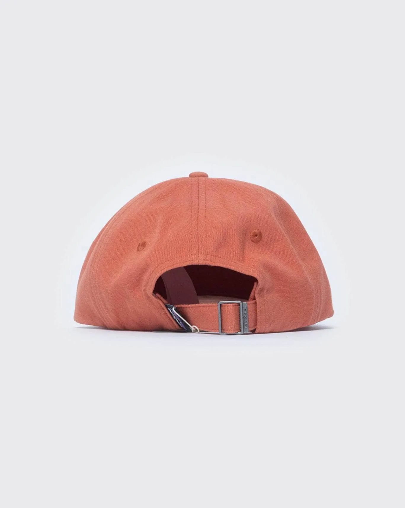 patagonia p-6 Trad Cap