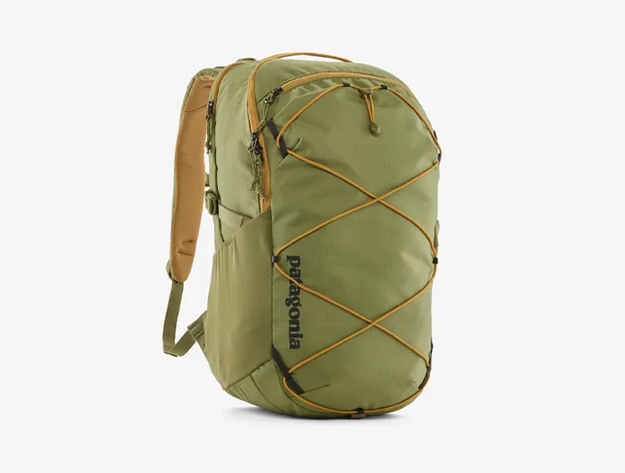 Patagonia Refugio Daypack 30L