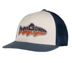 Patagonia Take a Stand Trucker Hat