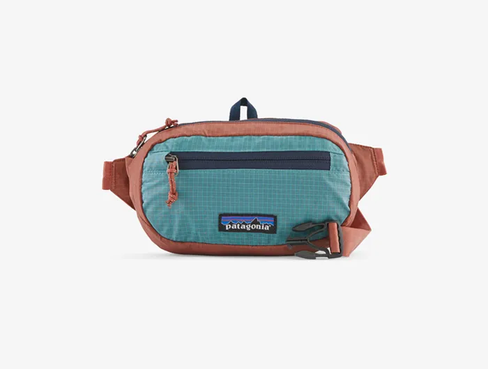 Patagonia Ultralight Black Hole Mini Hip Pack 1L