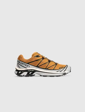 SALOMON XT-6 CATHAY SPICE   BROWN