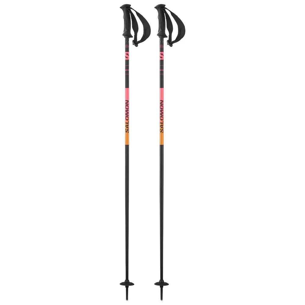 Shiva Ski Poles