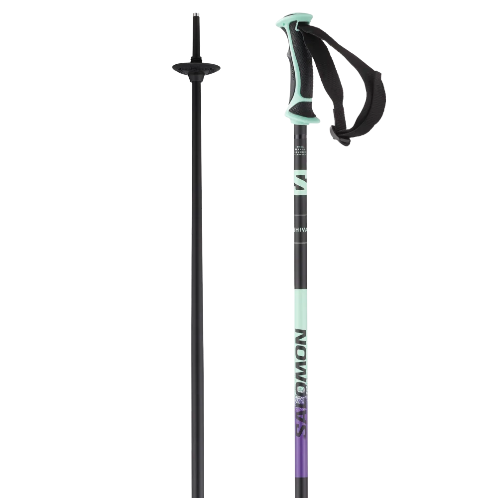 Shiva Ski Poles