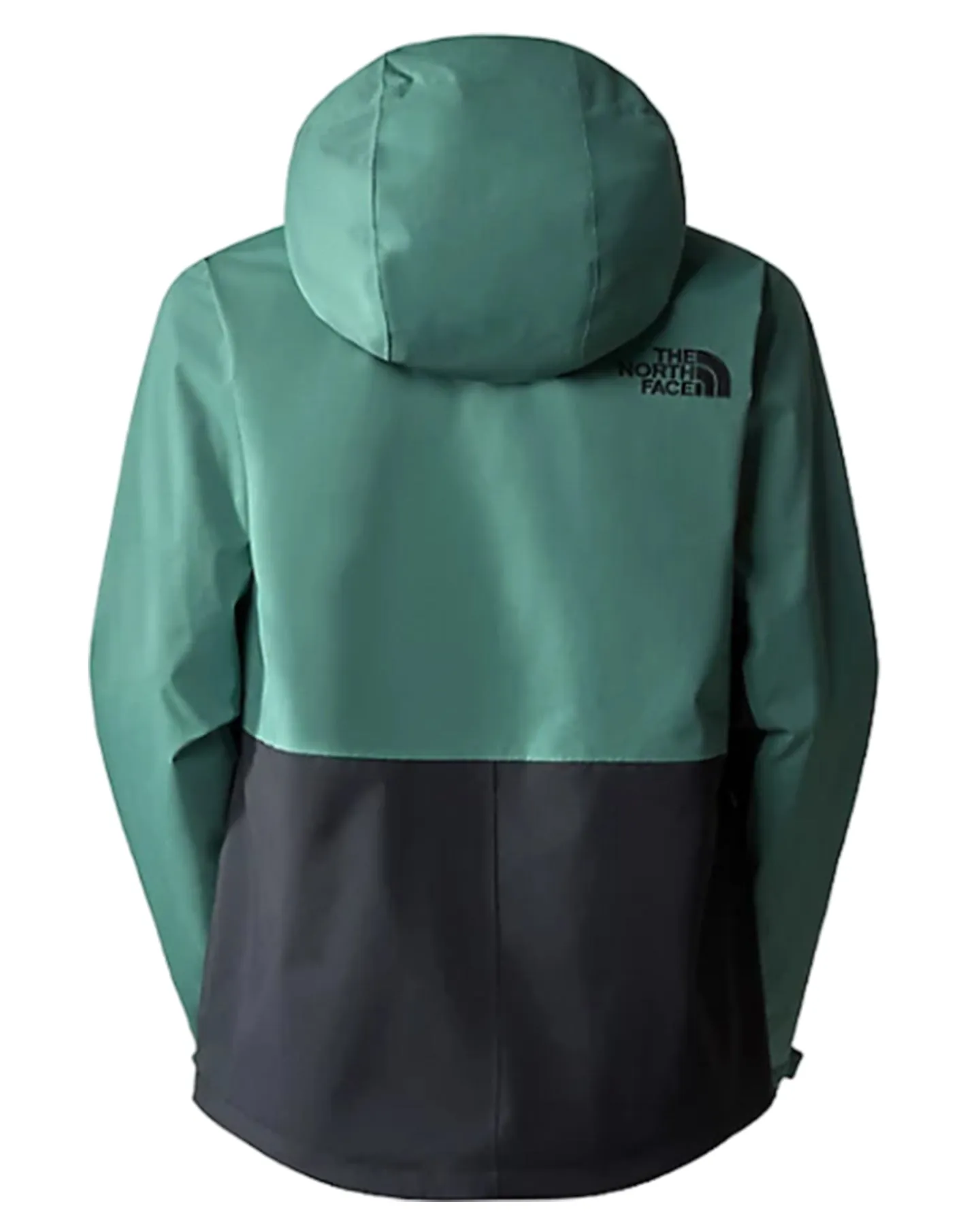 The North Face Women's Freedom Stretch Snow Jacket - Dark Sage/Tnf Black