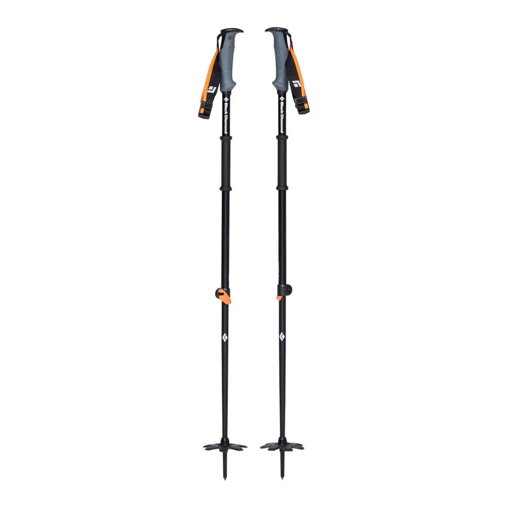 Traverse WR Ski Poles