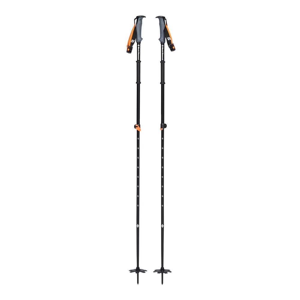 Traverse WR Ski Poles