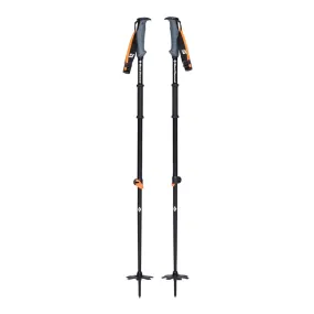 Traverse WR Ski Poles